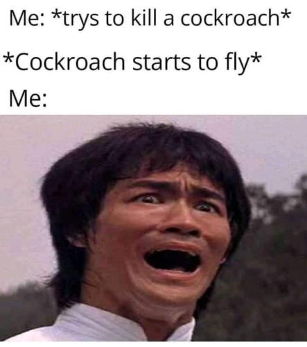 FB_IMG_1660937007112