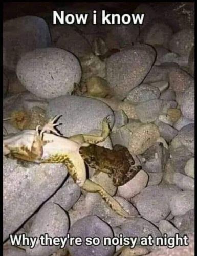 298939126_10225754156552844_4239372346966868780_n