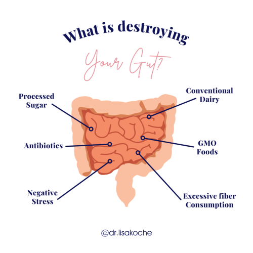 298465516_791745022262003_5620252434046993743_n