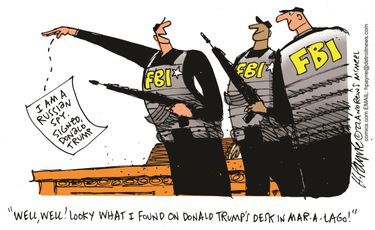 payn_c19229020220810120100-375x275