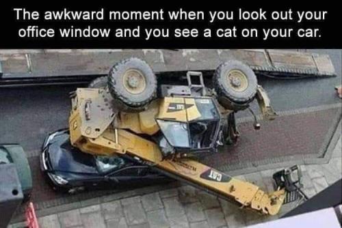 FB_IMG_1660510586829