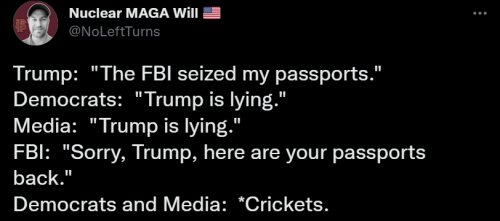 Trump Passports 1