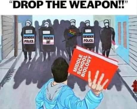 FB_IMG_1646538732173