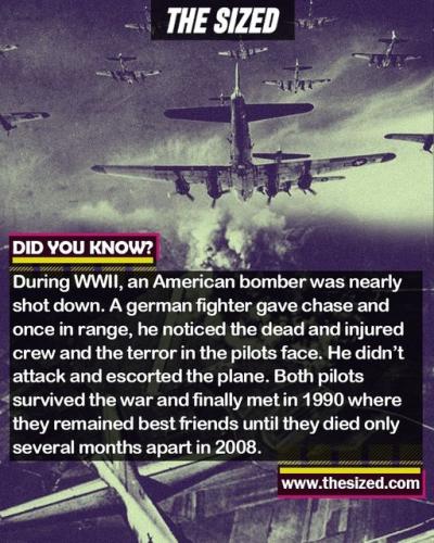 297787305_589597489273239_2040342181243530879_n