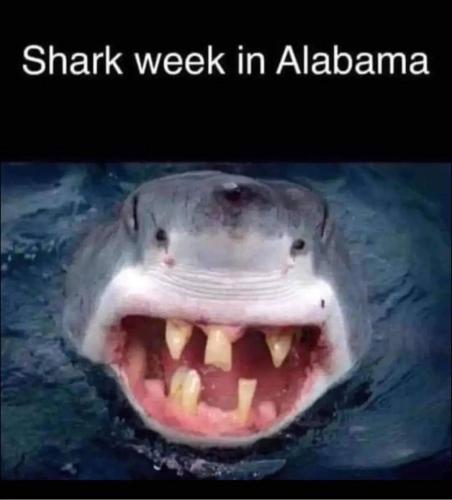 FB_IMG_1661959072655