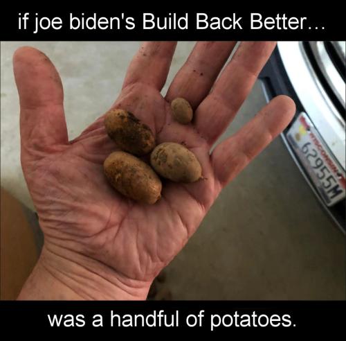 buildbackbetter75