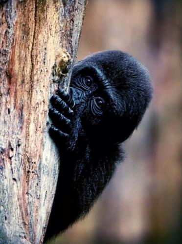 tumblr_2edaf905461feddfe133ba34376bf52a_d1a102f0_540