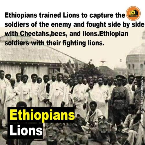 297411155_483454990447089_8663742134595381635_n