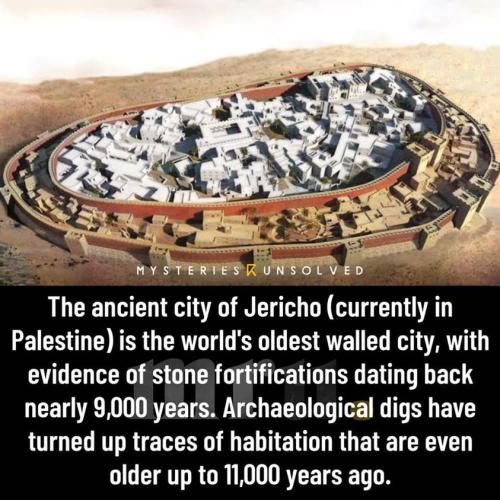 298027353_126190393475021_5194849392321958557_n