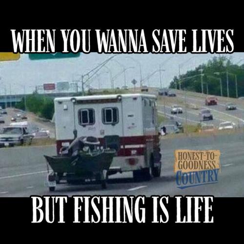 292563233_5714871981891596_2223526309590194750_n