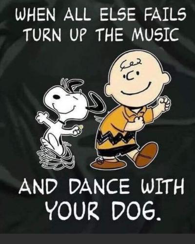 facebook_1653193552819_6933996331364327610