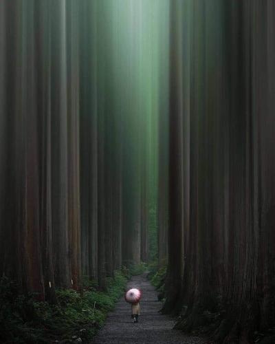 296915595_196596156054501_8875543946418072877_n