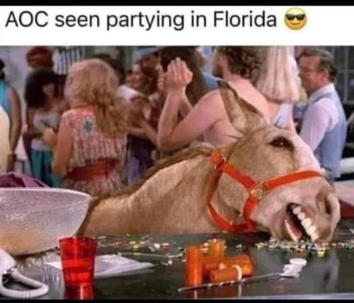 FB_IMG_1661449068618
