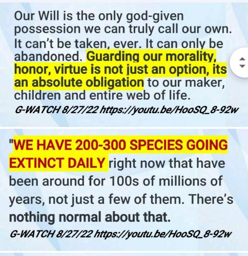 Screenshot_2022-08-30-13-56-45-764_com.google.android.apps.photos