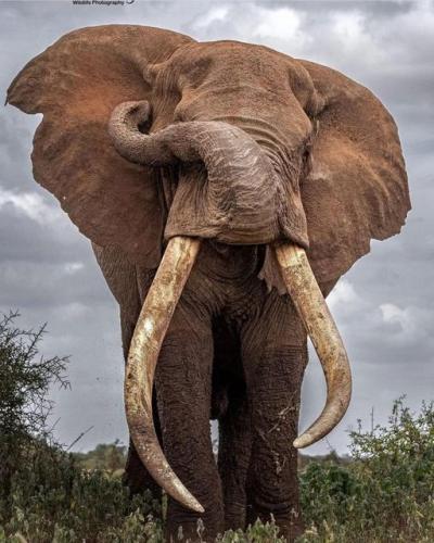 301130071_8229945967023272_8074080586016374480_n