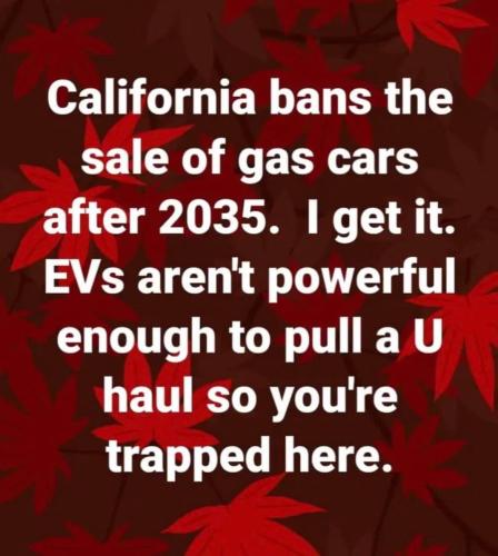 301403994_490083923123432_242531026653335868_n