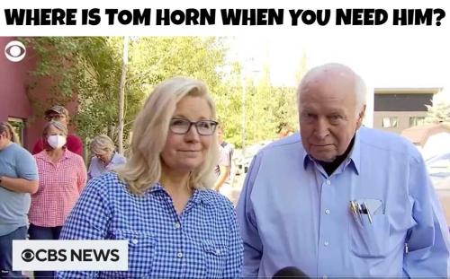 Where is tom horn when you need him liz and dick