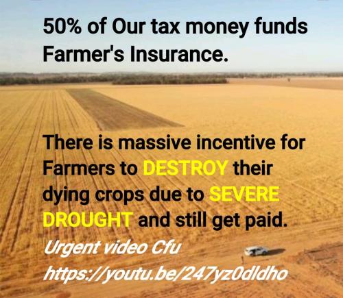 Screenshot_2022-08-20-15-02-21-455_cn.wps.moffice_eng~2