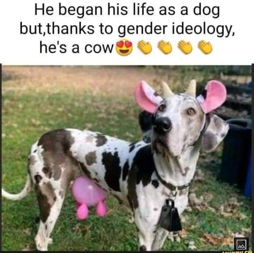 FB_IMG_1660978442383