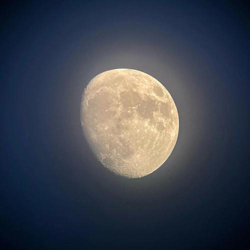 d3aaeeb7-cf9a-41db-8fad-44feaa9cc484