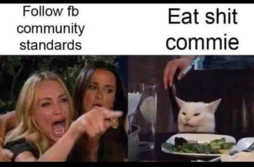 FB_IMG_1659666853687