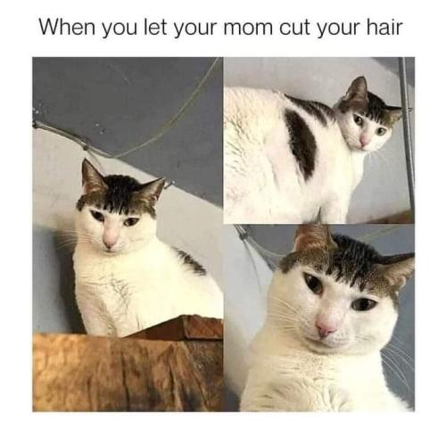 FB_IMG_1660772501938