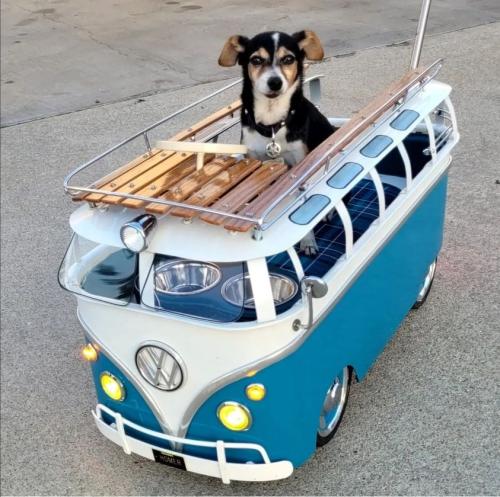 299846506_5803004369723423_2161232172400304709_n