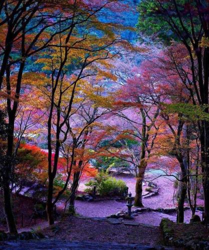 297775319_581791093575366_6421804872143428892_n