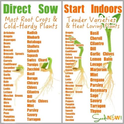 299974077_5282036931891507_6561389223621995208_n