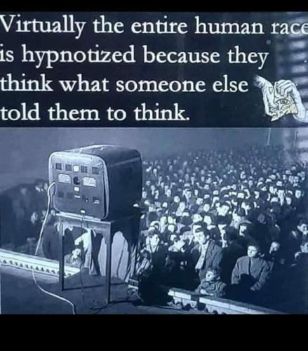 FB_IMG_1653824574379