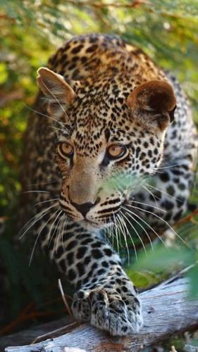 tumblr_7224fab2c404e7331c009176335cab4e_738fc716_640