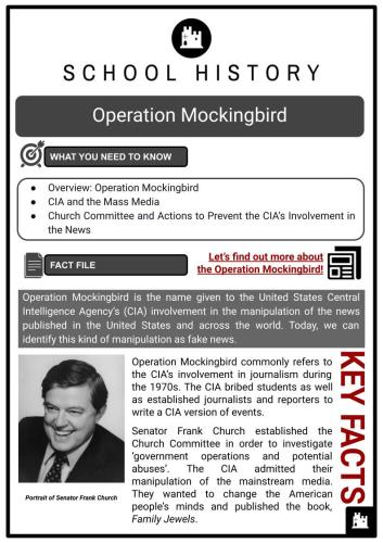 Operation Mockingbird 3