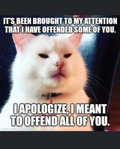 FB_IMG_1661317468522
