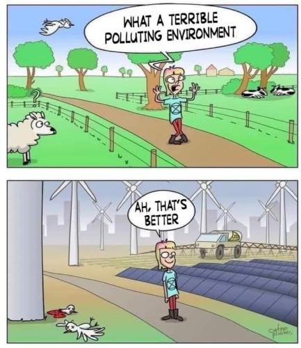 FB_IMG_1661189170744