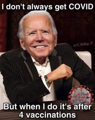 FB_IMG_1659319877684