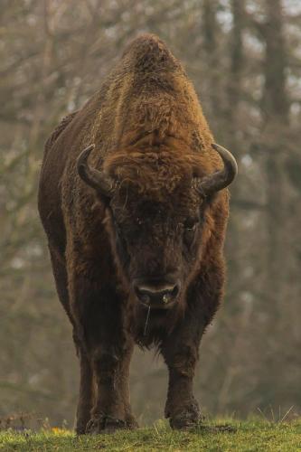 tumblr_n0rl30e4rF1r4d0svo1_r1_540