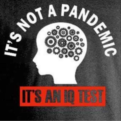 pandem iq test