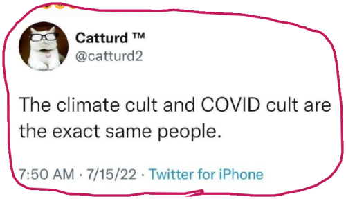 snapshot_mewe.com_1660857573385