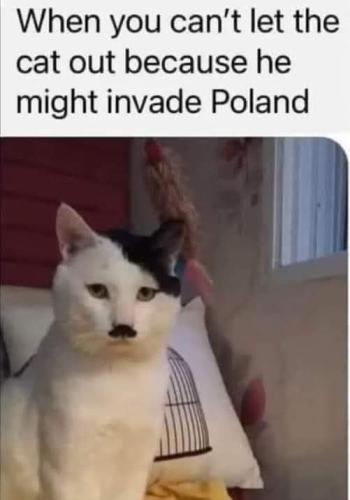 FB_IMG_1661956225683