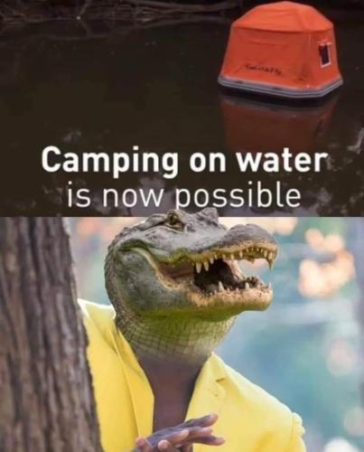 animal-camping-on-water-is-now-possible