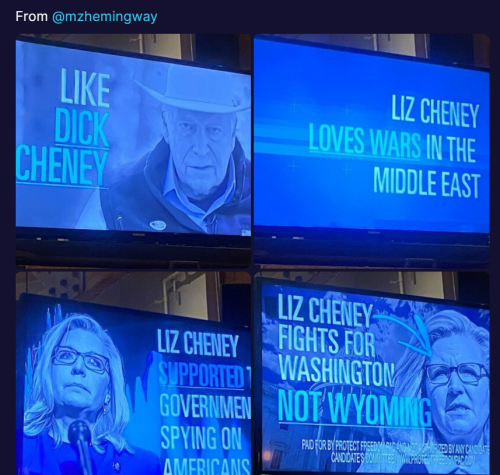 Cheney Ads 1