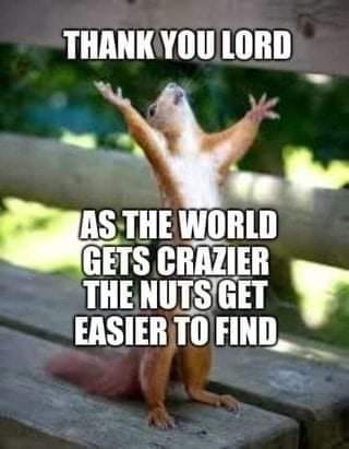 285790354_5246836222061672_2081785876156253398_n