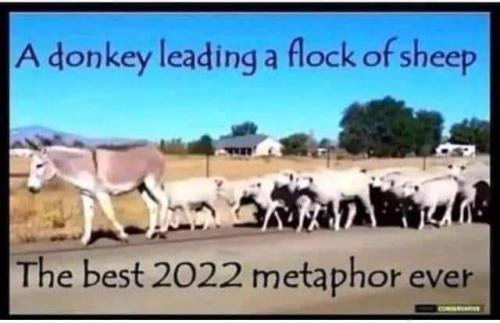 FB_IMG_1661900185459