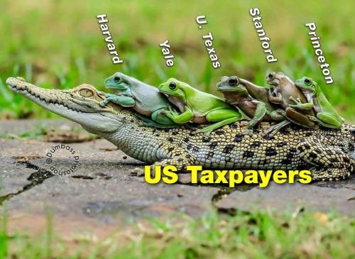 Screenshot_20220826-105616_Instagram