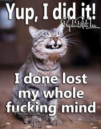 FB_IMG_1659814752186