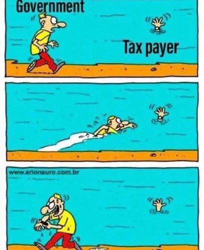 FB_IMG_1660081991699