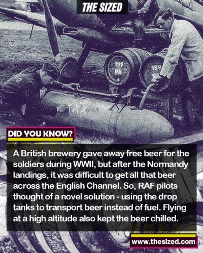 298497794_591183142448007_6810513346076947749_n