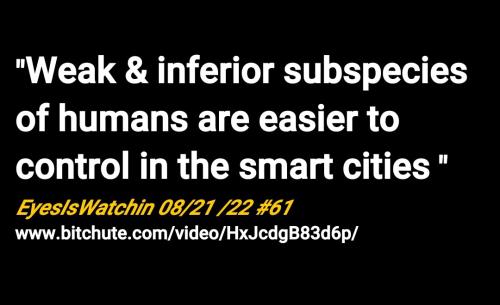 Screenshot_2022-08-22-18-25-16-679_cn.wps.moffice_eng~2