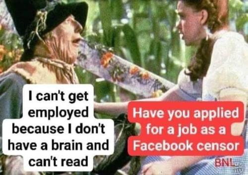 FB_IMG_1660917805808