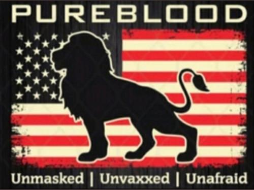 Screenshot_20220505-115933_Twitter